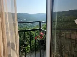 Guest House Horizonti