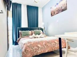 Comfort Hostel B&B Room Torino - Vicino Centro e Metro