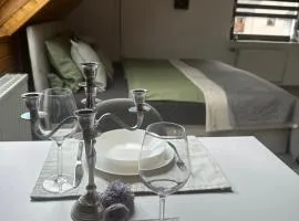 Blick auf den Rhein