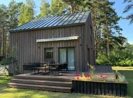 Viesu māja Silapurenes