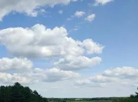 Ekoterapia