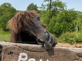 Agriturismo Podere Asche, hotel in Santa Fiora