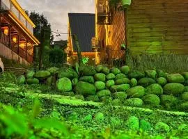 komilo vadi bungalov 0