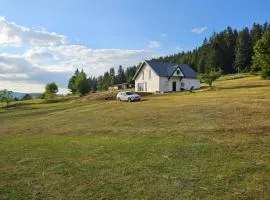 Villa Maglić Vlašić