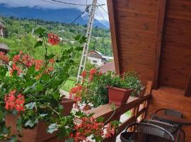 Casa Cristiana Moisei、モイセイのホテル