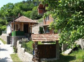 Vila Stara, villa in Pakleštica