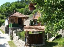 Vila Stara