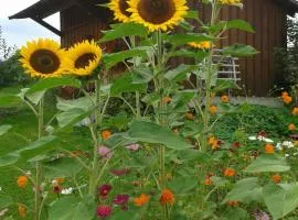 Ferienwohnung Wiesengrund