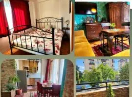 Antique Apartmant Aminta