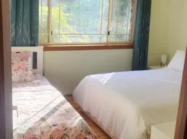 Homestay on the hill 3