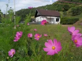 Gîte cosy à La Bresse - Proche sentiers, rivière et piste cyclable, idéal pour randonnées et séjours en famille - FR-1-589-168