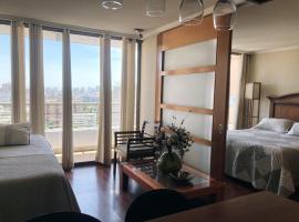 Depto Manuel Montt Providencia，位于圣地亚哥的自助式住宿