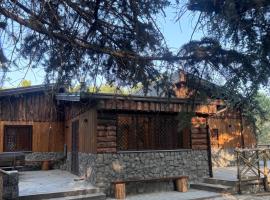 Etna Chalet Nicolosi, chalet a Nicolosi