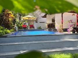 Villa Ganesha Penuktukan