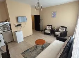 Apartment near Tskaltubo spa restort