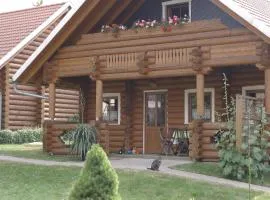 Hill-view Holiday Home in Dankerode near Lake and Hiking