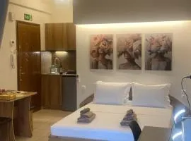 Central D1 City Apartment