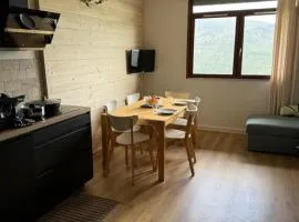 Appartement Pla d'Adet Saint Lary