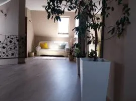 Hotelik pod Baranami