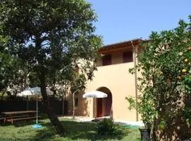 Agriturismo La Gatta E L'Olivo