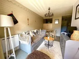 Appartement 35 m2 4p proche des pistes de ski la foux d Allos