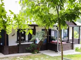Ograda cu salcâmi