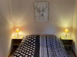 Val-locations sancy2