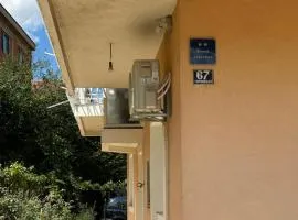 Guši