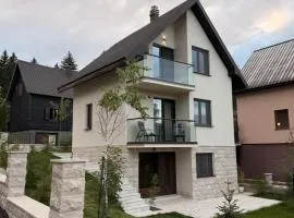 Samsa lux house in the center of Žabljak