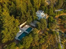 Forest View Villas