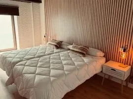 Apartamentos villa Carolina