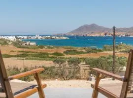 Aloni Suites Pollonia