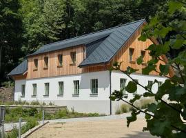 Apartm&aacute;n PMR, kh&aacute;ch sạn c&oacute; tiện nghi d&agrave;nh cho người khuyết tật ở Janov nad Nisou