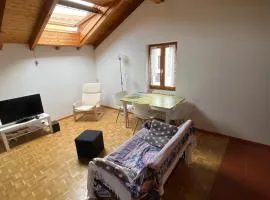 Guest Attic for Locarno Festival
