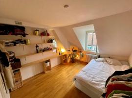 Cosy room in attic flat in the center of Zurich, ubytování v soukromí v Curychu