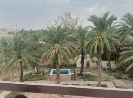 Hai Al Nakheel حي النخيل