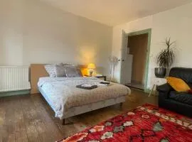 Grand studio et jolies chambres à louer