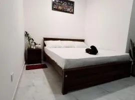 Kandy Jungle Border