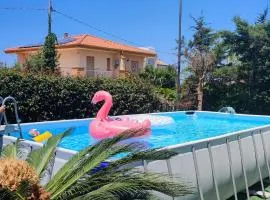 Villa Rosa Holidays