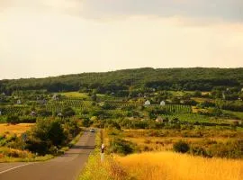 Első Ház Tagyon