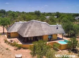 Kruger Wildlife Villas