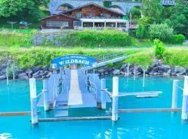 Hotel Wildbach Brienz