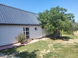 Rizling apartman Balatonendréd