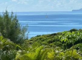 Iguane House Villas & Micro Spa