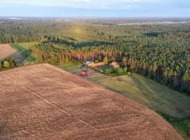 Nocleg na skraju puszczy