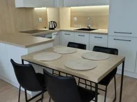Apartament Kameralny