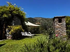 La Casa negli Ulivi - con vista Mare