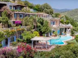 Villa Orchidea