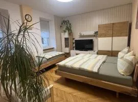 EDI APP Bovec Center