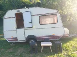 kamp andrea